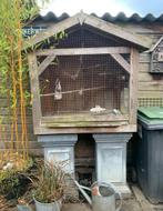 Houten vogel volières., Ophalen, Gebruikt, Hout, Volière