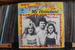7" Single Spring Affair - My Homeland / Hey Mister, Pop, Ophalen of Verzenden, 7 inch, Single