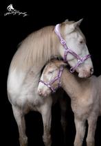 Nieuwe leren glitters halsters maar cob, Ophalen of Verzenden, Nieuw, Overige soorten