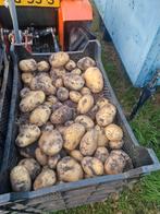 frieslander aardappels, Diversen, Ophalen of Verzenden