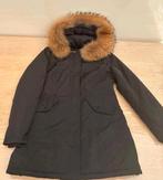 Attentif Paris dames/meisjesjas, maat 36, Zwart, Zo goed als nieuw, Maat 36 (S), Attentif Paris