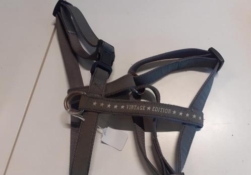 Vintage edition hondentuig 50 cm, Dieren en Toebehoren, Hondenriemen, Ophalen