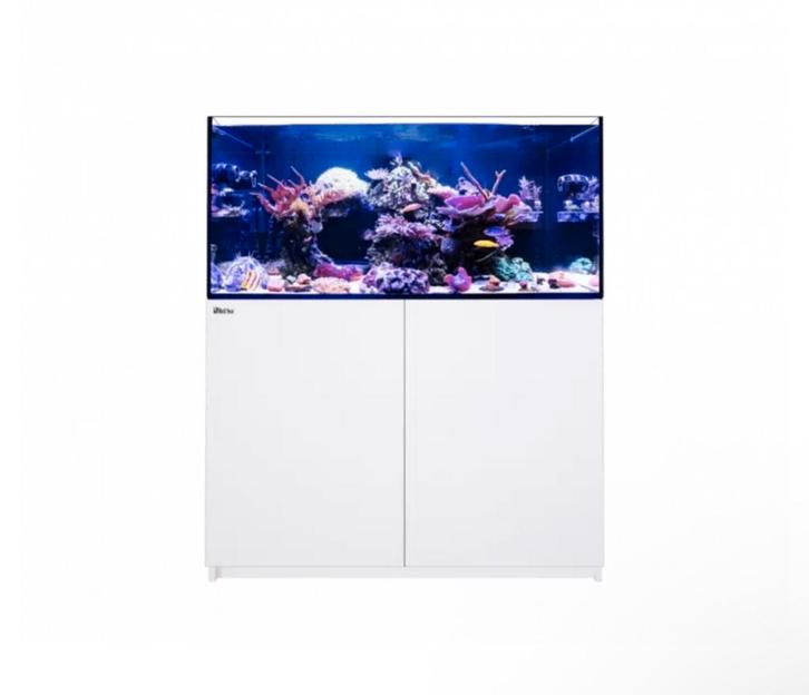 Red Sea Reefer 350 G2+ Wit – Premium Rifaquarium (342L), Dieren en Toebehoren, Vissen | Aquaria en Toebehoren, Leeg aquarium, Ophalen