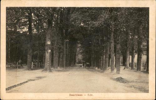 Boschlaan Ede, Verzamelen, Ansichtkaarten | Nederland, Ongelopen, Gelderland, 1920 tot 1940, Verzenden