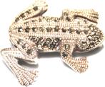 Schitterende Sterling Zilver Markasiet Kikker Broche, Verzenden, Zilver, Broche, Met edelsteen