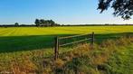 Weiland te huur gezocht omgeving Arnhem/Gelderland, Dieren en Toebehoren