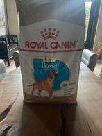 Boxer pup voer, Ophalen