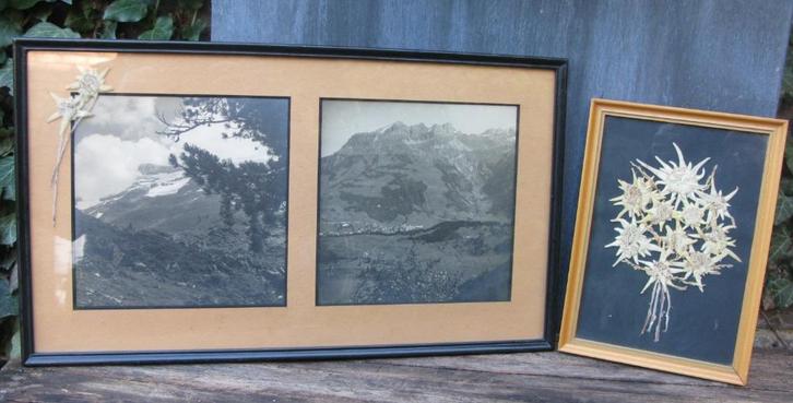 FOTO'S OOSTENRIJK TIROL 1940/'50 EDELWEIS, Antiek en Kunst, Kunst | Designobjecten, Ophalen of Verzenden