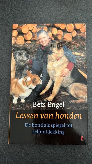 B. Engel - Lessen van honden beschikbaar voor biedingen