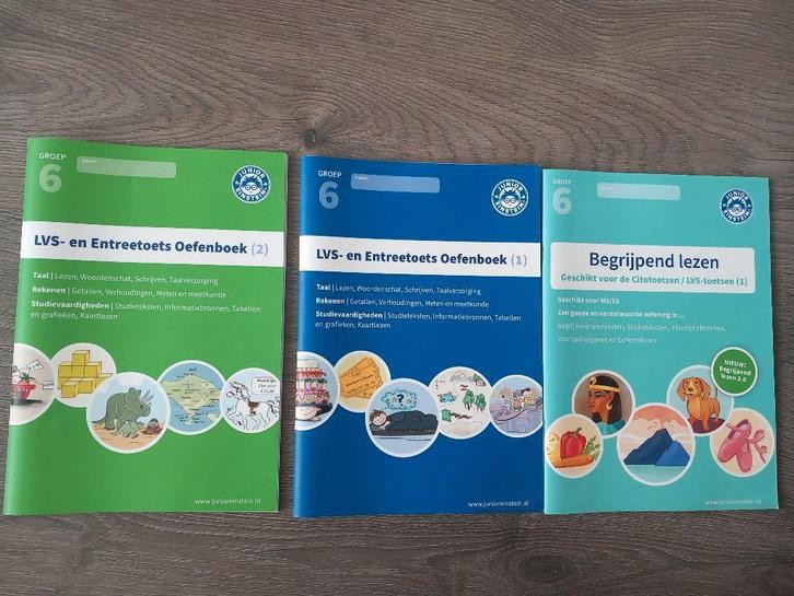 Junior einstein groep 6 oefenboek /begrijpend lezen, Boeken, Schoolboeken, Zo goed als nieuw, Nederlands, Overige niveaus, Ophalen of Verzenden