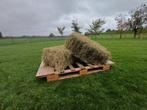 Kleine hooibalen., Dieren en Toebehoren, Stalling en Weidegang
