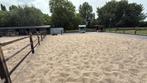 Prive stal in klaaswaal zoekt rustige ruin, Dieren en Toebehoren, Stalling en Weidegang