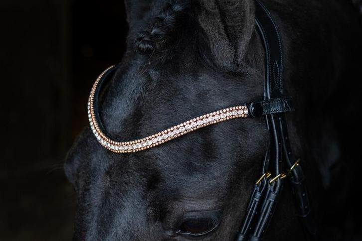 L'Anique Click&Go Frontriem Luna, Dieren en Toebehoren, Paarden en Pony's | Hoofdstellen en Tuigage, Nieuw, Dressuur, Ophalen of Verzenden