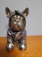 A english bulldog dressed as a boxer, Ophalen of Verzenden