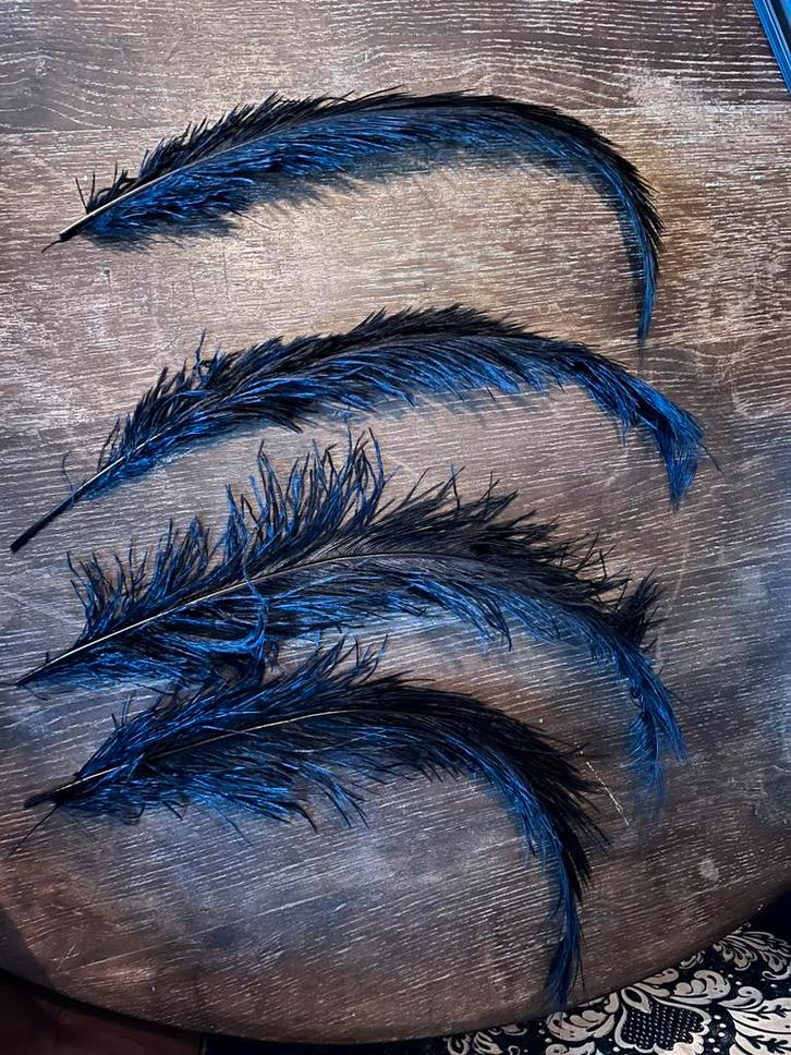 Lange zwarte sierveren – ideaal voor DIY, kostuums&decoratie, Antiek en Kunst, Kunst | Schilderijen | Abstract, Ophalen of Verzenden