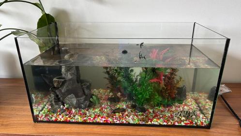 aquarium compleet voor goudvis, Dieren en Toebehoren, Vissen | Aquaria en Toebehoren, Zo goed als nieuw, Gevuld zoetwateraquarium