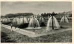 BERGEN N.H. Sproeiers Prov. Waterleidingbedrijf, Verzamelen, Ansichtkaarten | Nederland, Ophalen of Verzenden, 1920 tot 1940, Gelopen