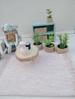 Plantjes plantje voor poppenhuis muizenhuis, Verzamelen, Poppenhuizen en Toebehoren, Ophalen of Verzenden, Nieuw, Poppenhuis