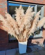 XXL Pampas Pluimen - Bohemian Decoratie, Ophalen of Verzenden, Nieuw