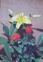 gele lelies en rode rozen - Italiaanse kaart, Verzenden, 1980 tot heden, Gelopen, Natuur