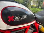 Ducati Scrambler Desert Sled 2019 incl Navi, koffers enz., 2 cilinders, Motorrijbewijs A, Handvatverwarming, Particulier