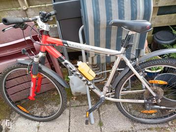 GIANT beschikbaar voor biedingen