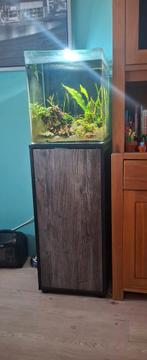 Dennerle Nano Cube 60L, Dieren en Toebehoren, Vissen | Aquaria en Toebehoren, Ophalen, Zo goed als nieuw, Leeg aquarium