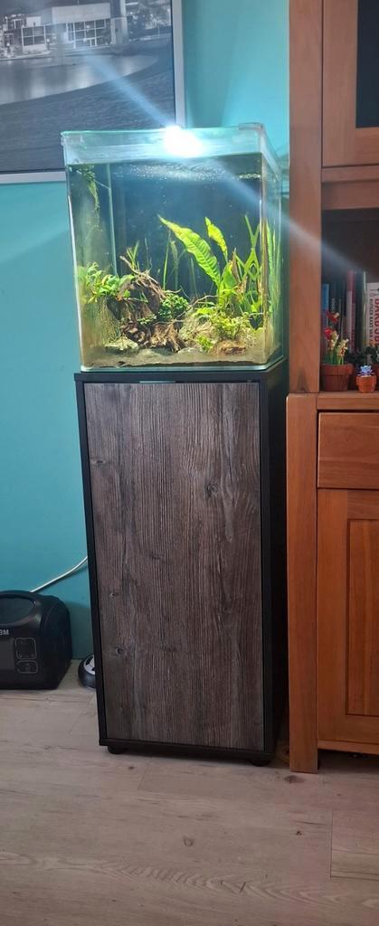 Dennerle Nano Cube 60L, Dieren en Toebehoren, Vissen | Aquaria en Toebehoren, Zo goed als nieuw, Leeg aquarium, Ophalen