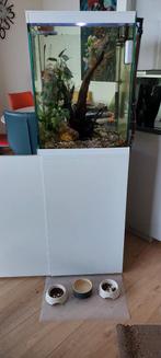 Mooi aquarium van het merk aquatlantis, Ophalen, Zo goed als nieuw, Gevuld zoetwateraquarium