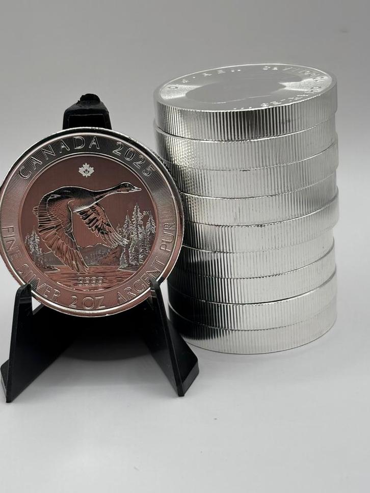 10x 2oz Canadian Goose 2025 - 20oz zilver - maple leaf tube, Postzegels en Munten, Edelmetalen en Baren, Zilver, Ophalen of Verzenden