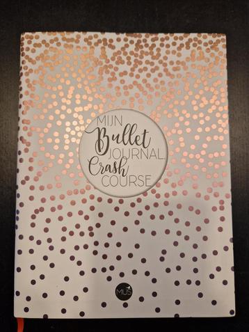Boek: Mus - Mijn bullet journal crash course beschikbaar voor biedingen
