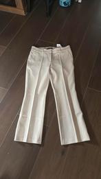 Cambio broek farah maat 40 als nieuw!!!, Maat 38/40 (M), Beige, Ophalen of Verzenden, Zo goed als nieuw