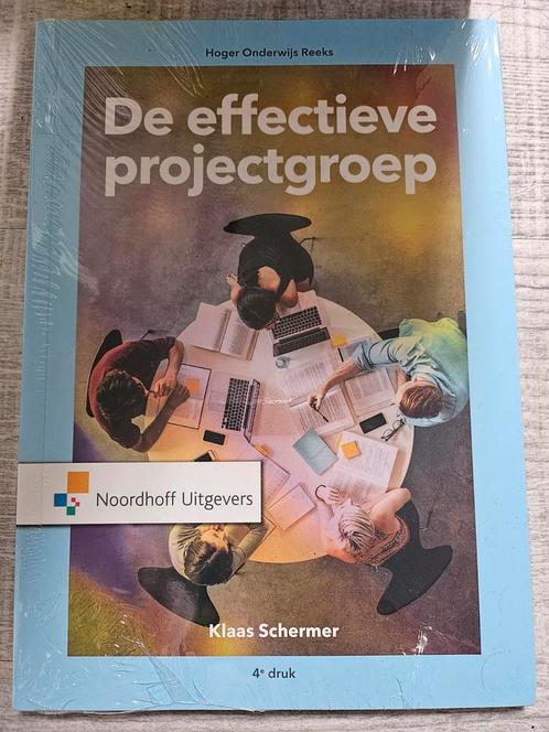 Klaas Schermer - De effectieve projectgroep, Boeken, Schoolboeken, Zo goed als nieuw, Nederlands, Overige niveaus, Ophalen of Verzenden