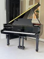 Zelfspelende vleugel zwart of wit - direct uit voorraad, Zwart, Nieuw, Ophalen of Verzenden, Hoogglans