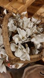 magnolia, Nieuw, Ophalen of Verzenden