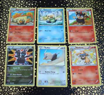 Pokémon kaarten starters bundel  XY Series - Steam Siege
