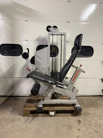 Panatta Fit2000 Leg curl en Leg extension / Beinstrecker Set beschikbaar voor biedingen
