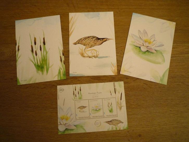 Roerdomp vogels witte waterlelie kleine lisdodde postzegels, Verzamelen, Ansichtkaarten | Dieren, Voor 1920, Vogel, Ophalen of Verzenden