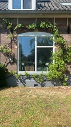 Druiventakken, Ophalen of Verzenden, Overige soorten