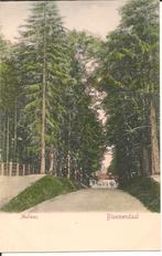 Bloemendaal Mollaan., Ophalen of Verzenden, Voor 1920, Ongelopen, Noord-Holland