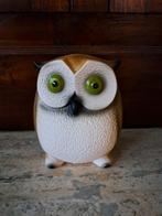 Uil groene ogen, Ophalen of Verzenden, Gebruikt, Dier