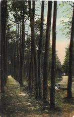 AK Ginneken, Breda - Eeuwigelaantje, Verzenden, Voor 1920, Gelopen, Noord-Brabant