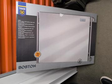 Tiger Boston Spiegel+klokje RVS beschikbaar voor biedingen