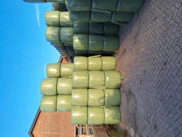 Te koop, goede kwaliteit midibalen. beschikbaar voor biedingen