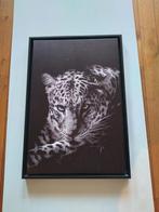 Geprinte foto van een luipaard, Huis en Inrichting, Minder dan 50 cm, Nieuw, Ophalen of Verzenden, Print