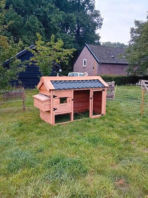 Kippenhok Putten Douglas, op maat gemaakte, Dieren en Toebehoren, Pluimvee | Toebehoren, Nieuw, Kippenhok of Kippenren, Ophalen of Verzenden