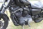 Harley-Davidson Sportster XL 883 sportster 883 iron, Motoren, Motoren | Harley-Davidson, Chopper, Bedrijf, 883 cc, Meer dan 35 kW