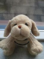 Hulphond Flip blond merk XL Concept met blauw dekje, Ophalen of Verzenden, Zo goed als nieuw, Hond