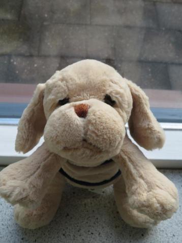 Hulphond Flip blond merk XL Concept met blauw dekje beschikbaar voor biedingen