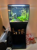 Fluval 57l aquarium zwart, Dieren en Toebehoren, Vissen | Aquaria en Toebehoren, Ophalen, Zo goed als nieuw, Gevuld zoetwateraquarium